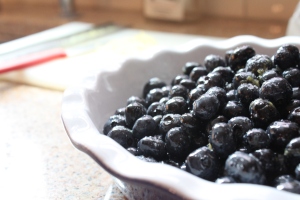 Blueberry Crisp from Baking Family